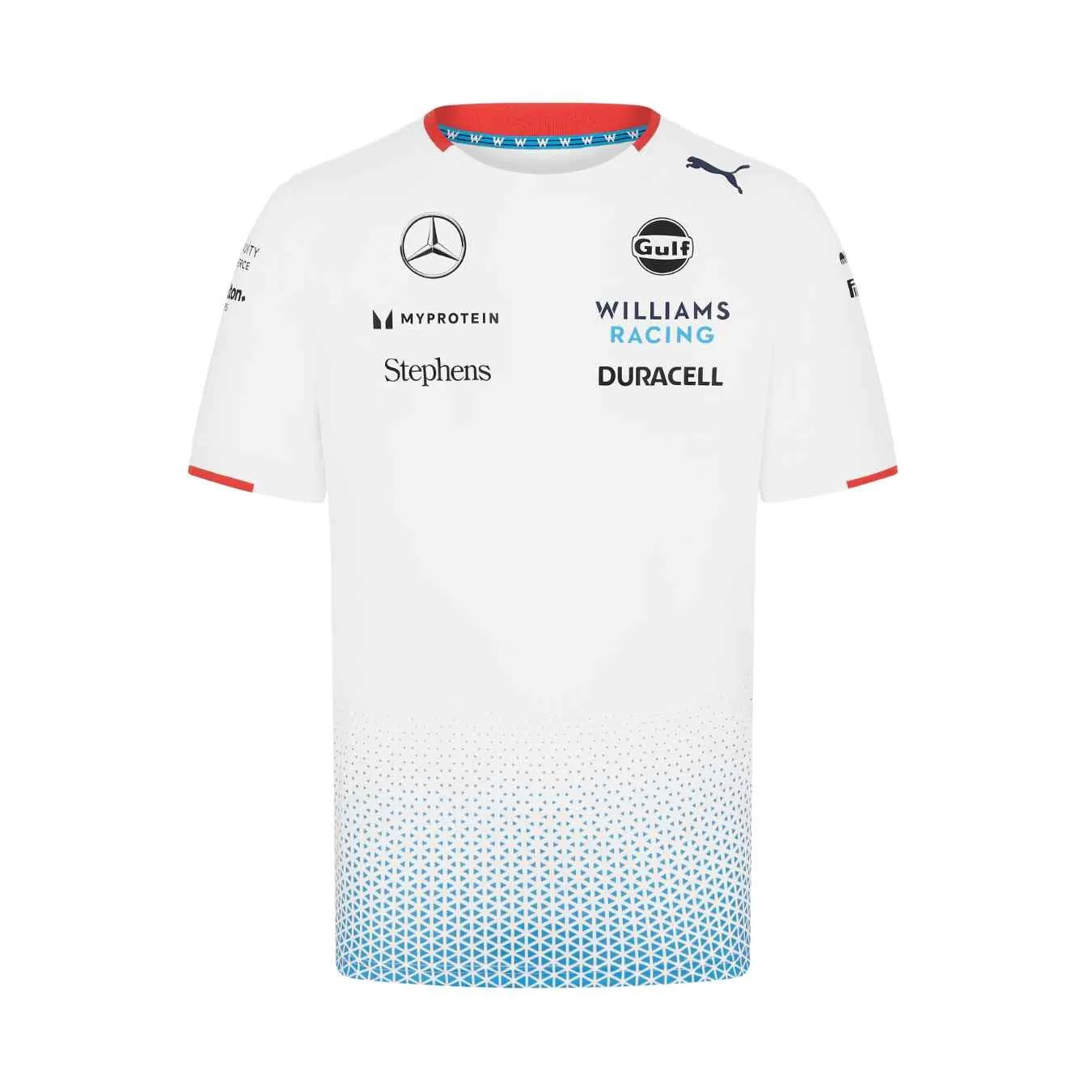 T-shirt WILLIAMS F1 Team Blanc pour Homme WLM24_TSH_TEB